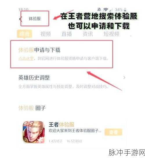 王者荣耀体验服资格获取全攻略，揭秘非购买途径的真相