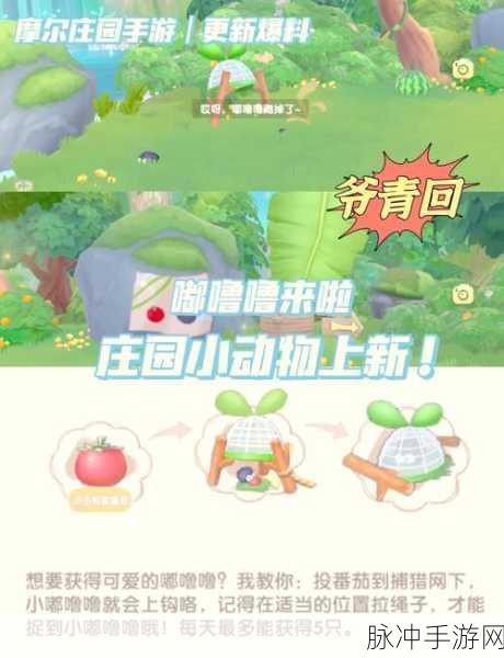 摩尔庄园手游，解锁牧场新乐趣，养动物条件全揭秘