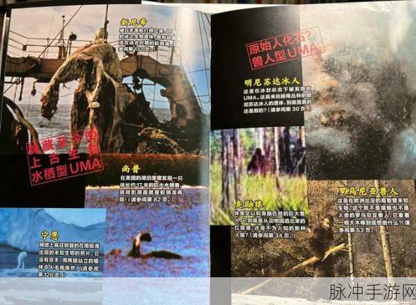 YW龙物失联,深入探索,寻找失落文明的终极线索