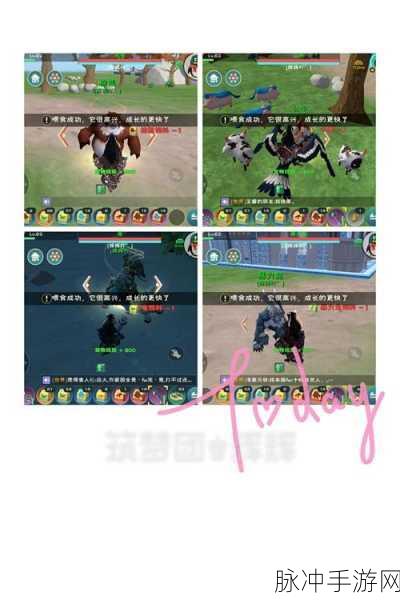 创造与魔法高级宠物粮获取全攻略,高级宠物粮获得方法深度解析