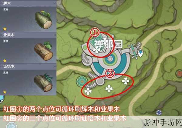 原神辉木素材采集全攻略,辉木素材采集位置详尽分享