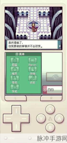 口袋妖怪魂银,深度探索宠物特性的奇妙之旅