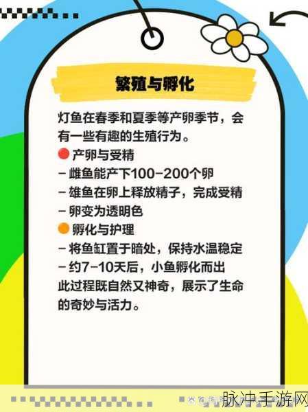 迷你世界游戏内灯笼鱼的繁殖方法及全面养殖攻略指南