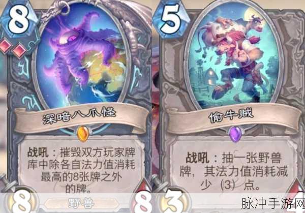揭秘炉石传说节奏奥秘贼玩法，攻略详解与实战技巧探讨