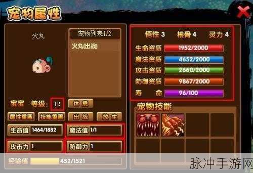 造梦西游3手游攻略，如何有效提升宠物技能等级