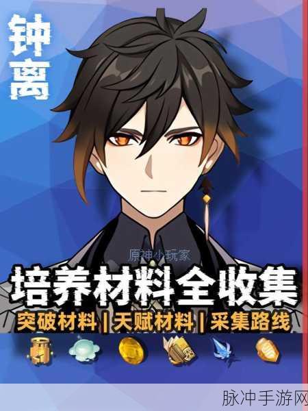 钟离,原神力中的佼佼者全面解析与养成攻略