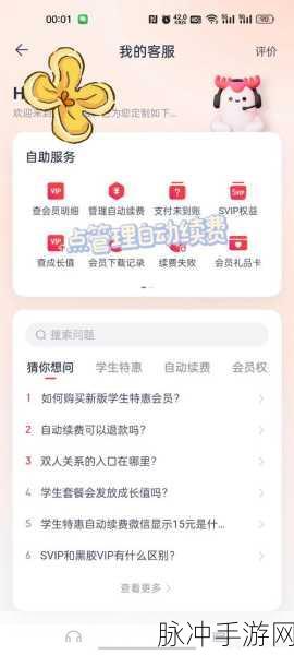 手游玩家必看，如何在微信、支付宝关闭WPS会员自动续费，优化游戏支付体验