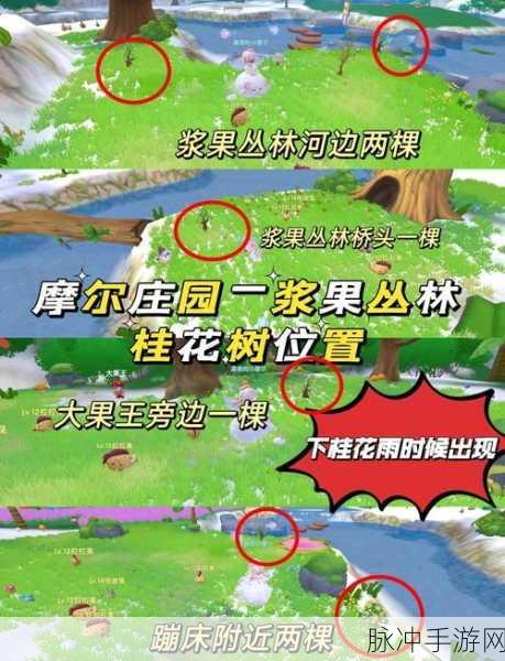 摩尔庄园探险指南，揭秘黑森林的秘密、彩虹瀑布与学院教导处位置