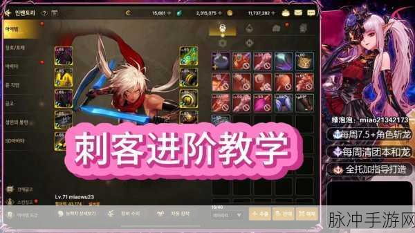 DNF二觉后刺客与忍者深度对比,哪个更适合你?