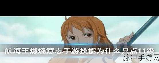 航海王燃烧意志路飞玩法全攻略,技能加点、天赋详解与战斗技巧深度剖析