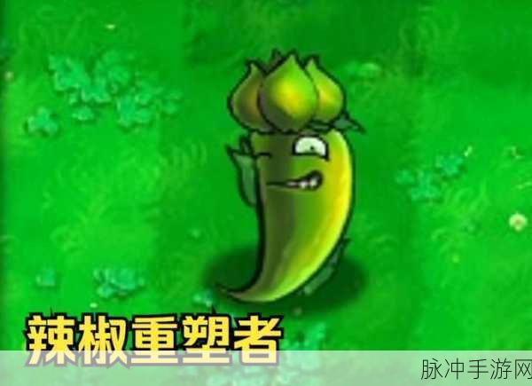 辣椒狂欢,饥荒世界里的攻击力秘籍——辣椒粉的神秘力量