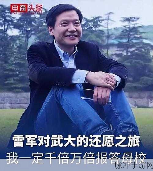 雷军点赞武大，手游攻略数据大揭秘