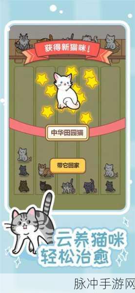 猫咪密林最新版本下载，打造你的休闲养猫乐园