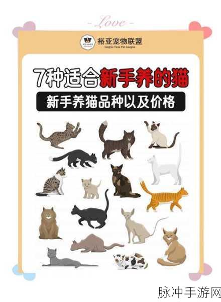 猫咪密林最新版本下载,打造你的休闲养猫乐园