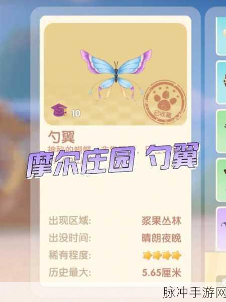 摩尔庄园手游攻略，如何给小勺子喂虫子