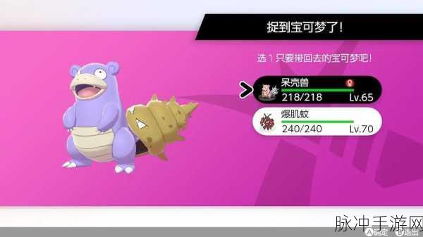 口袋妖怪爆肌蚊MEAG,肌肉之王的荣耀登场全攻略