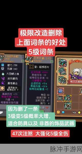 元气骑士前传游侠三件套深度解析,强度与实战应用