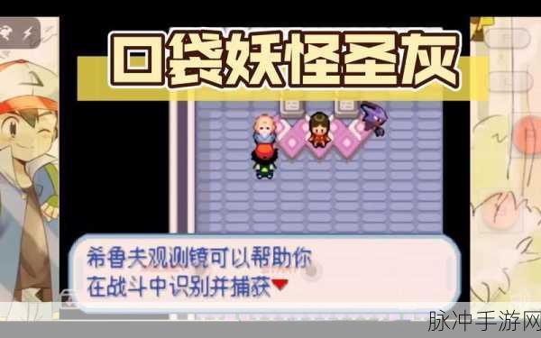 口袋妖怪圣灰作弊码全攻略,解锁游戏新体验