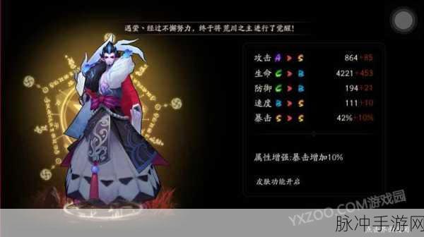 阴阳师手游荒川之主,御魂搭配与技巧深度剖析