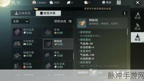 一梦江湖手游深度解析，云梦秘籍的搭配策略与优选指南
