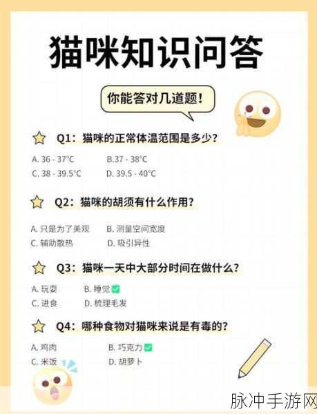 喵星人猜词,解锁益智答题新乐趣的安装下载全攻略