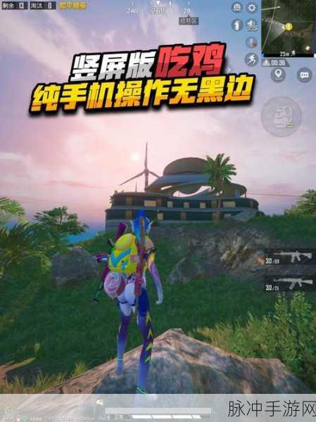 揭秘游戏利器,和平精英手机参数全解析