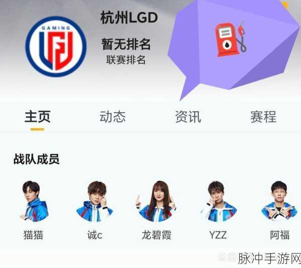 LGD和平精英战队荣耀之路,揭秘周冠军的夺冠策略