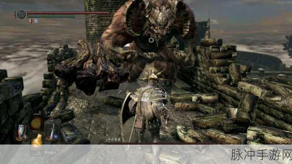 黑暗之魂重制版深度解析,蓓尔嘉身份与背景猜想