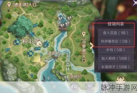 完美世界手游攻略，揭秘粉红猪隐藏任务的完成之道