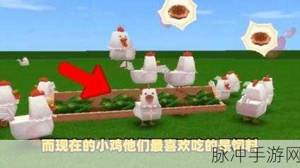 迷你世界驯服鸡的全面攻略,掌握技巧,轻松驯服游戏中的萌鸡伙伴