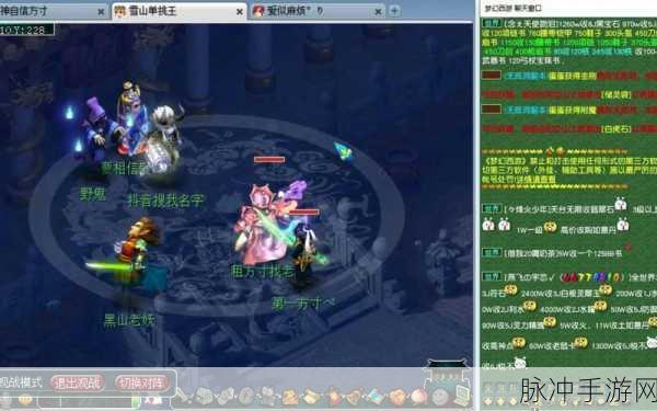 梦幻西游,揭秘无级别装备背后的玩家群体