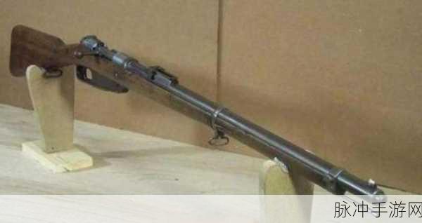 时空猎人枪械师加点攻略深度剖析,精准打造你的战斗利器