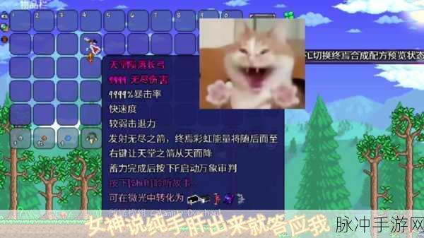 泰拉瑞亚蜘蛛套装深度解析，属性及获取方法全攻略