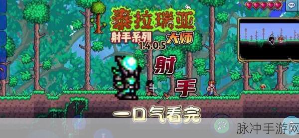 泰拉瑞亚蜘蛛套装深度解析,属性及获取方法全攻略