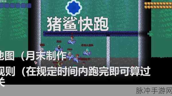 泰拉瑞亚鲨鱼刷新机制全解析，刷新时间间隔究竟是多久？