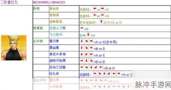 97拳皇角色深度剖析，中国国籍武术高手详解