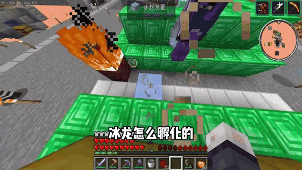 揭秘我的世界，龙蛋孵化全攻略与最新游戏动态
