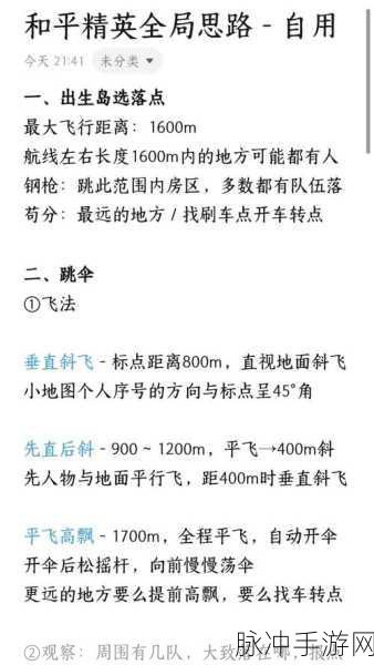 和平精英攻略，深入解析前五提示关闭方法及游戏策略