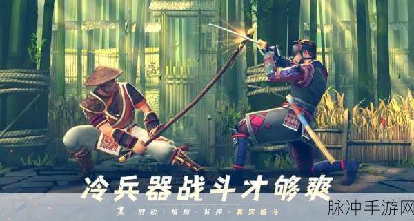 暗影格斗3武士刀连招深度攻略，解锁武士刀的战斗艺术