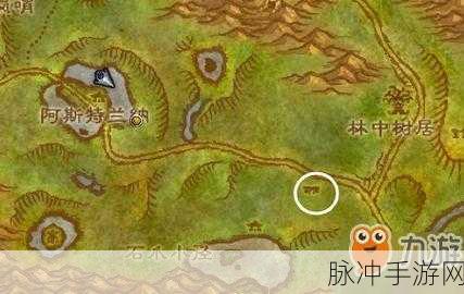 魔兽世界怀旧服探险指南，污林熊怪之王任务深度解析