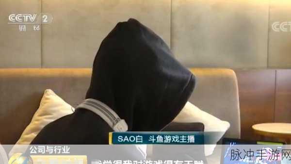 王者荣耀主播骚白连胜传奇遭狙击，互撕风波背后的数据与策略