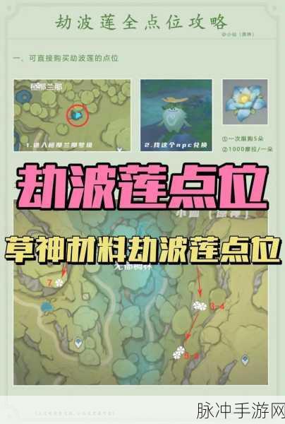 原神突破25级任务全揭秘，征服仲夏庭院的试炼