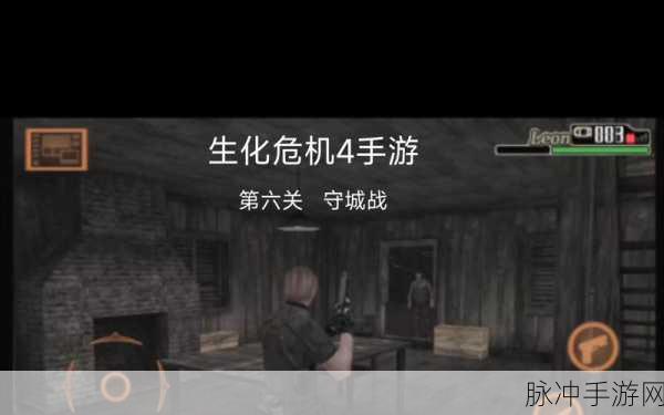 生化危机4重制版手游帧数画面设定全攻略,如何提升帧数画质?