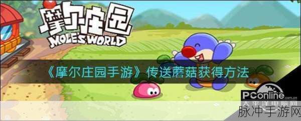 摩尔庄园手游攻略，传送蘑菇使用教学，助你畅游庄园无障碍