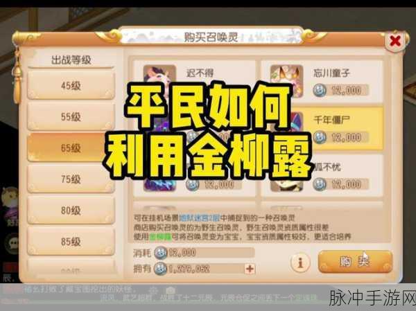 梦幻西游三维版深度攻略，金柳露使用方法全解析