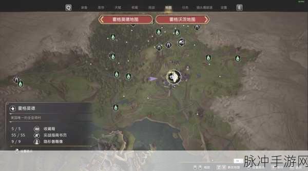 魔兽世界深度攻略，解锁霍迪尔之子声望的详尽步骤与技巧