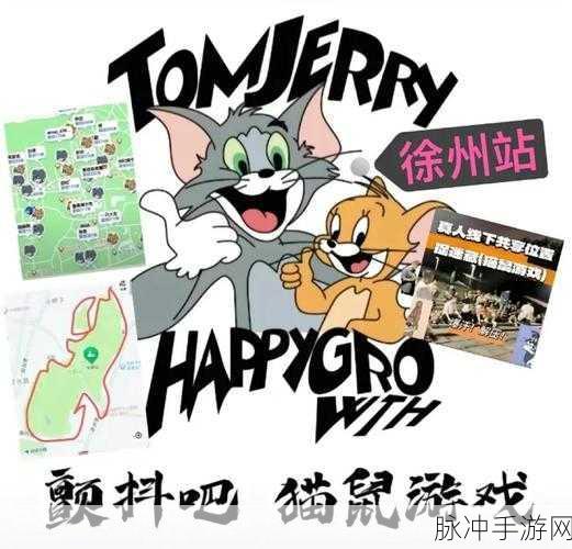 猫和老鼠游戏总内存大小揭秘,深入探索游戏总体积的奥秘