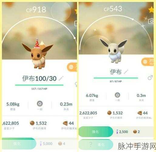 口袋妖怪手游深度攻略,揭秘仙子伊布的性格与战斗策略