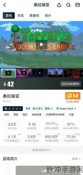 泰拉瑞亚联机全攻略，轻松实现与好友共闯奇幻世界