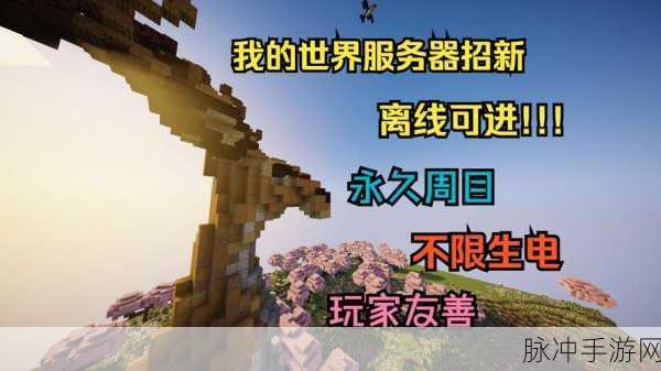 从零开始，全面探索我的世界Minecraft服务器搭建指南